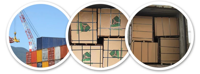 product-657-244 product-657-244